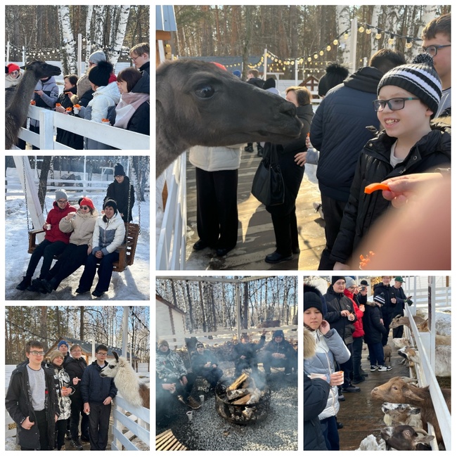 Альпаки март26